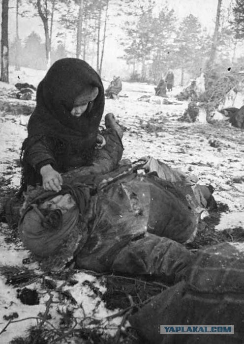 Я непричастен к победе в Великой Отечественной войне