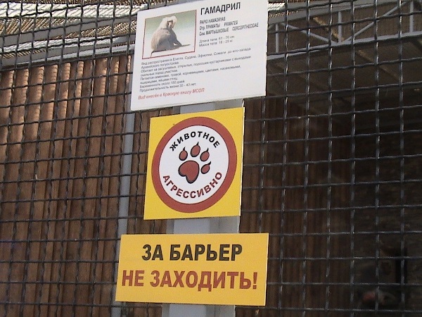 Животных не кормить!