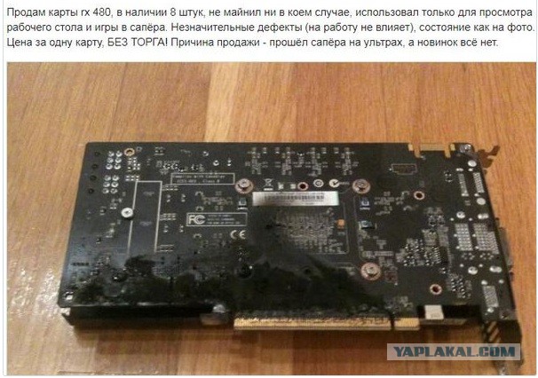 Курсы криптовалют обвалили цены на вторичном рынке майнинговых карт в России
