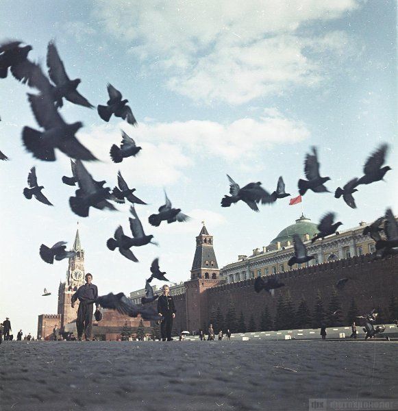 Советский Союз 1950-1960 гг. в объективе Всеволода Тарасевича