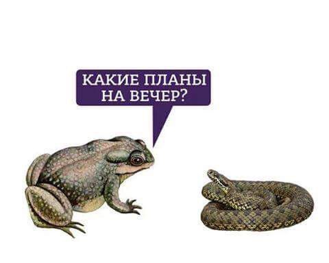 Деградашки на пятницу