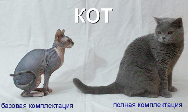 Лысый прижался к симпатичной киске