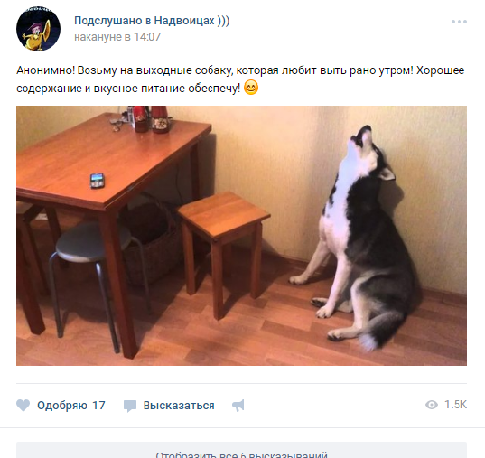 Смешные комментарии из социальных сетей