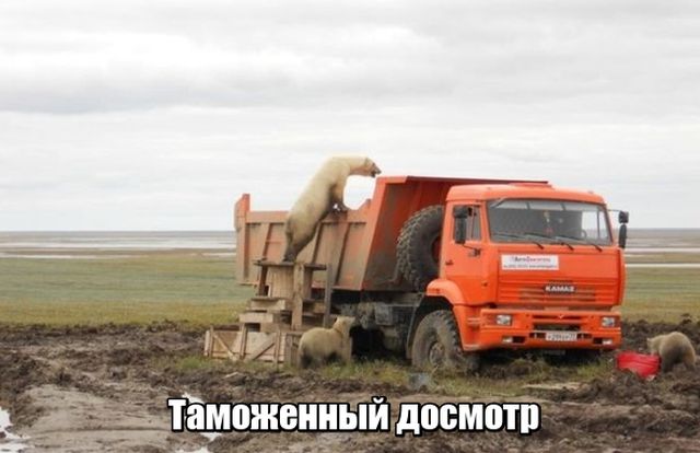 Сборная солянка из смешных картинок на субботу