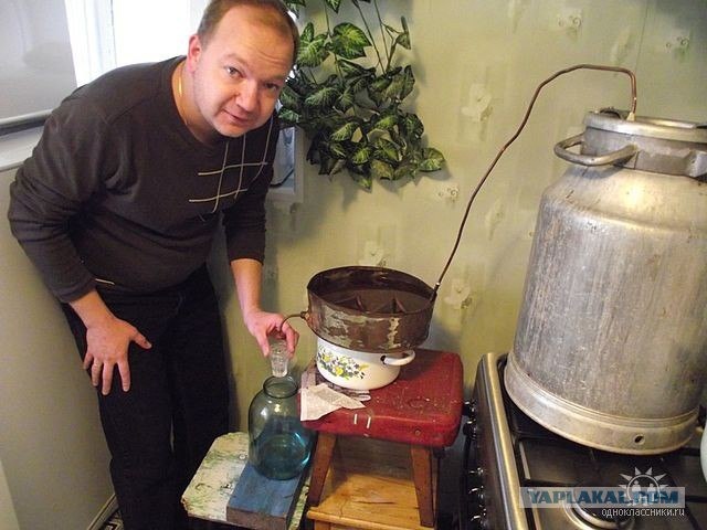 Чудики из социальных сетей