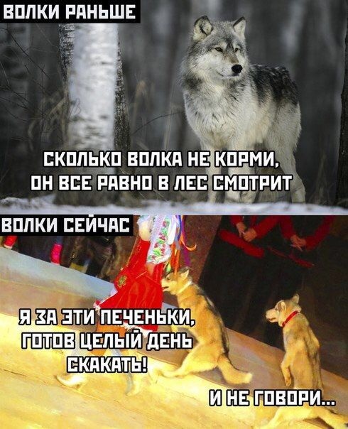 Комментарии, картинки всякие