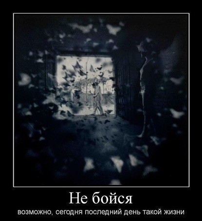 Демотиваторы