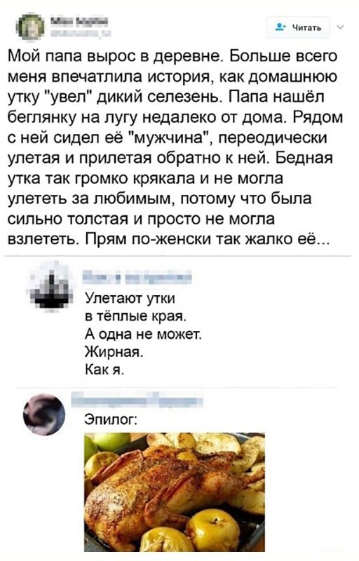 Баянисто-небаянистый юмор 17.02.21
