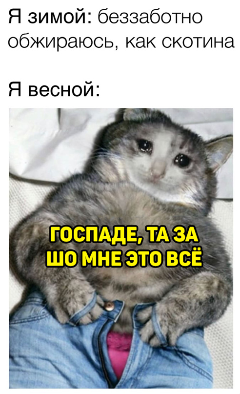 Весёлый полтишок 29.03