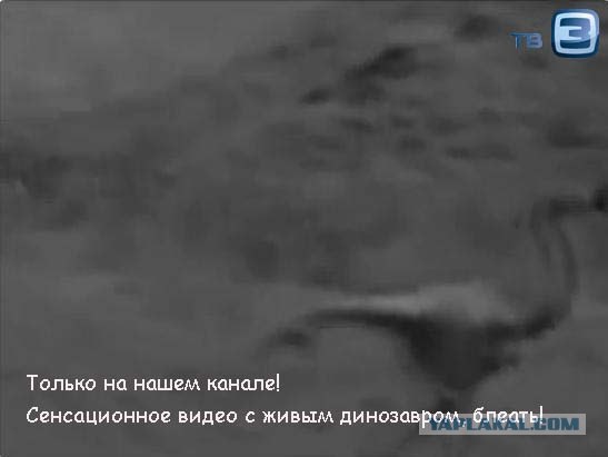 Динозавров засняли в подземной шахте