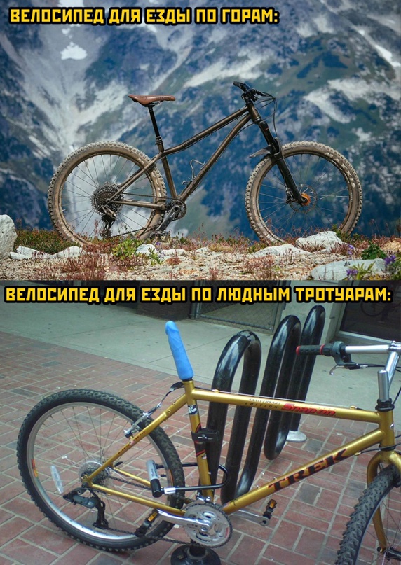 Весёлый полтишок 20.04.22