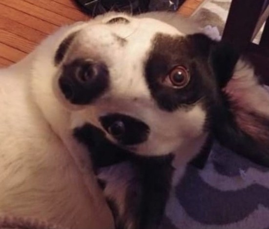 Так себе картинки 24.06.22