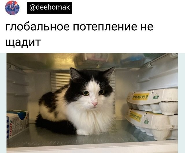 Скриншоты и комментарии из социальных сетей 04.09.22