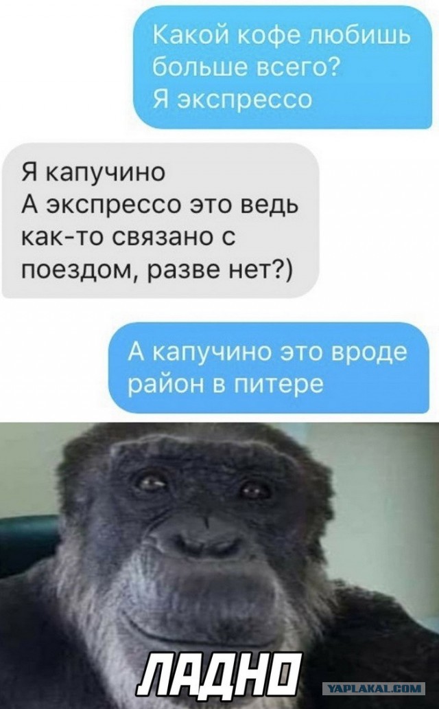 Скриншоты и комментарии из социальных сетей 16.09.22
