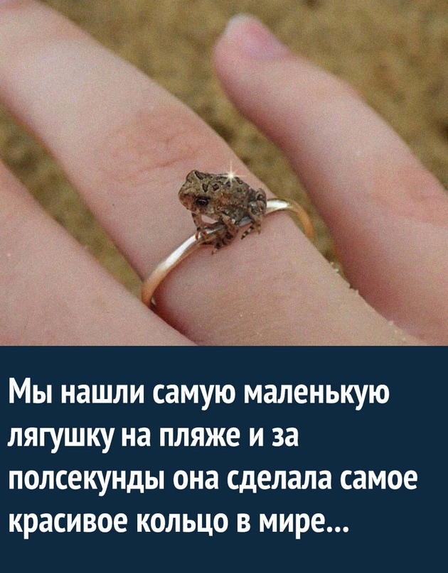 Немного картинок для настроения - 129