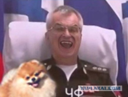 - Ой, он упал