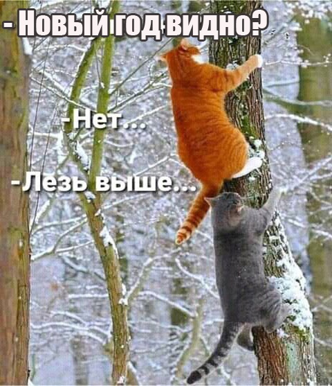 Так себе картинки 31.12.23