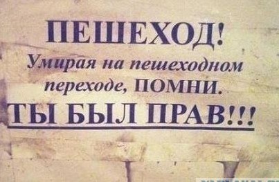 Пешеход! Умирая на пешеходном переходе ПОМНИ: Ты был прав!⁠⁠