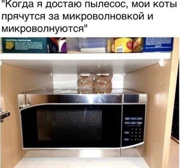 Тлидцать тли от 22 февлаля