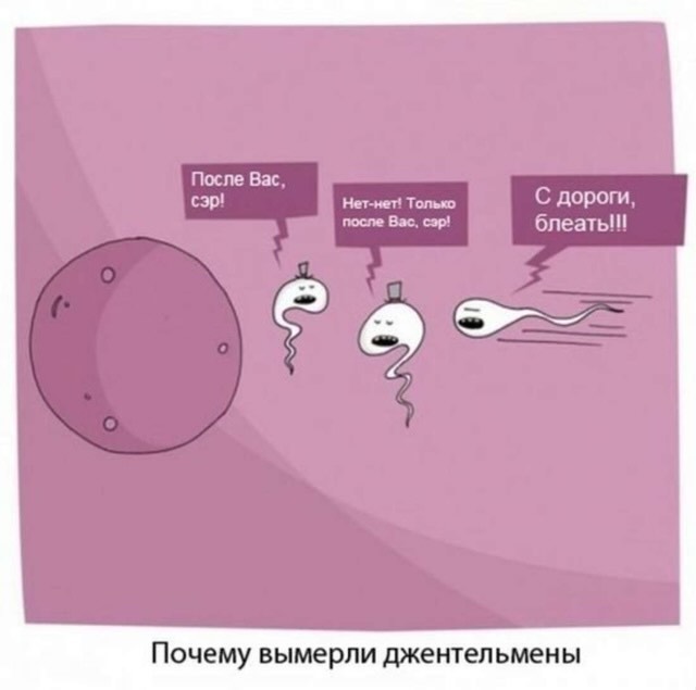 Завалялось тут случайно немного забавных картинок