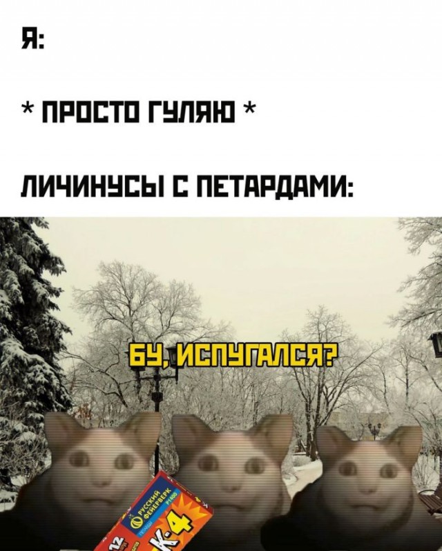 Веселые картинки к понедельнику (16.12)