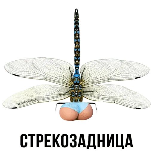 Укуренные картинки