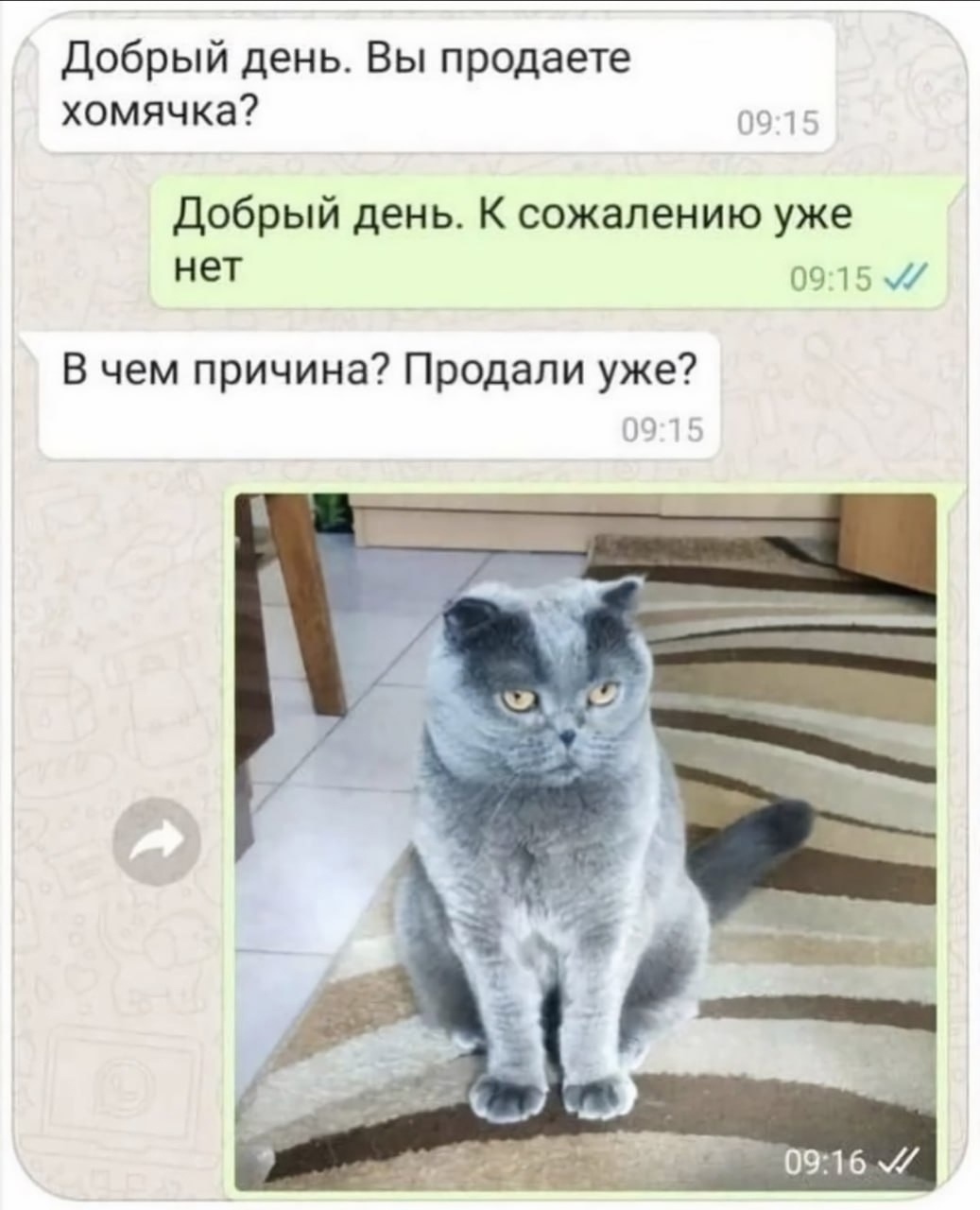 20238858.jpg