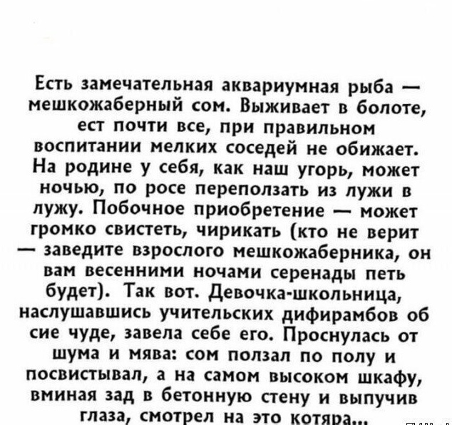 Всякая всячина