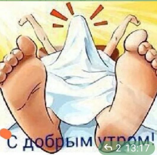 Забавные и не очень скромные картинки - 24