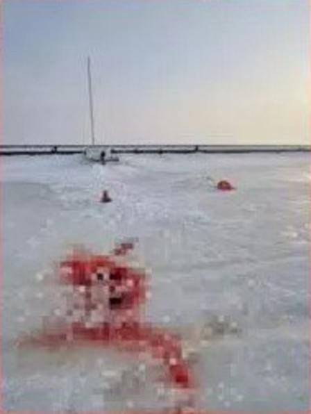 Лауреат на премию Дарвина насмерть размотался на снегоходе