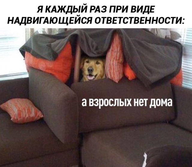 Картиночки, баянчики 05 марта