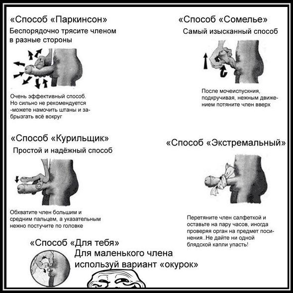 Картиночки, баянчики 25 апреля