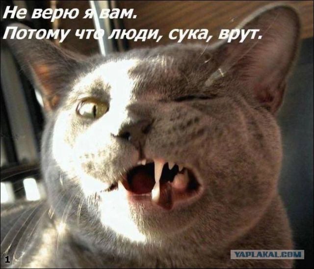 Йии-хаа!
