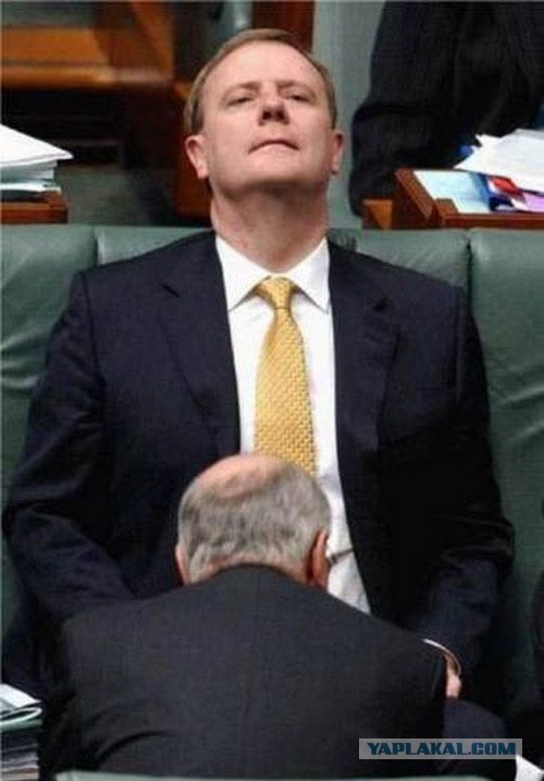 Что-то их удивило