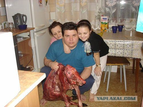 Вестник соцсетей