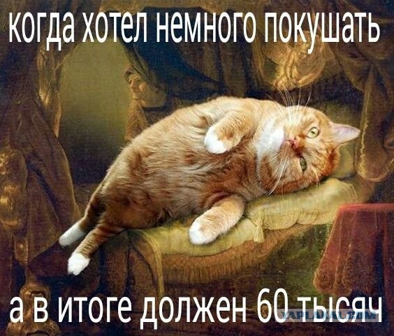 Весёлое из сети
