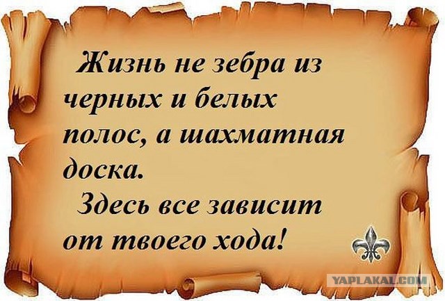 20 фактов обо всем