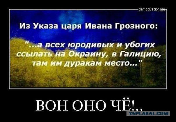 Депутат Верховной Рады Светлана Залищук