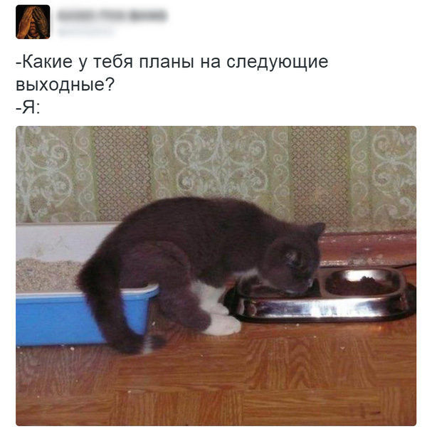 Смешные комментарии 28.02.2016
