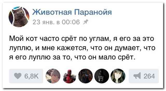 Забавные комментарии, шутки и фразы из этих ваших интернетов