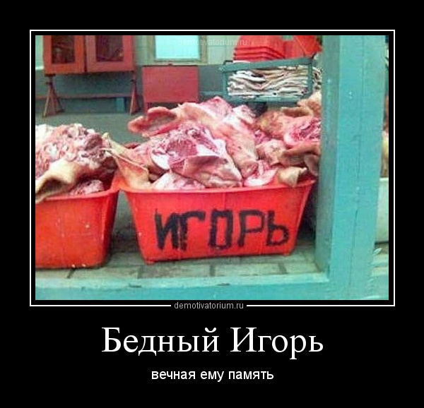Игорь! Игорь!