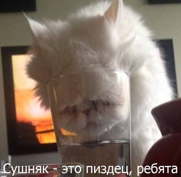 Футбольный клуб. РФПЛ,КР, ЛЧ, ЛЕ 2017-2018