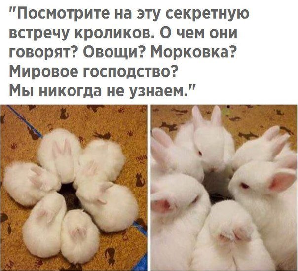 Нестандартный юмор