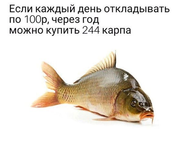 Подборка интересных и веселых картинок
