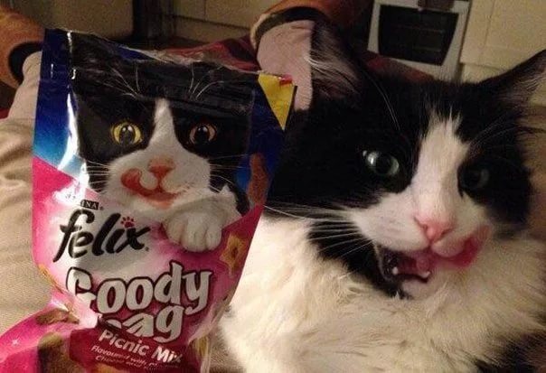 Совпадения, которые нарочно не придумаешь