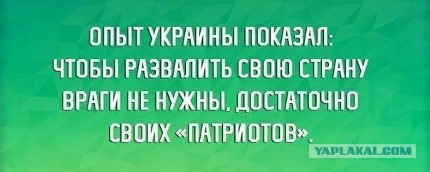 «Молодая гвардия» создаст отряды для борьбы с оппозицией на улицах