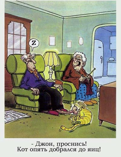 Специфический юмор