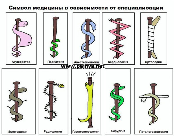 Под Новый Год скажем политике "нет"