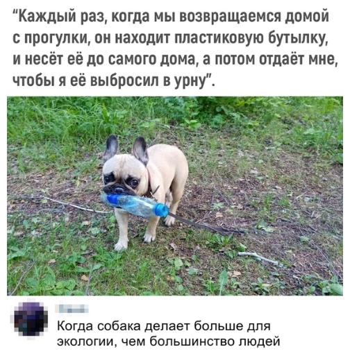 Немного картинок для настроения