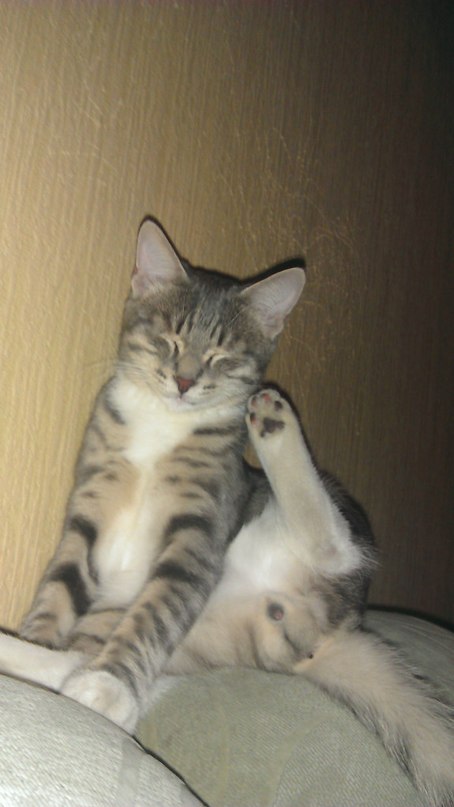 Аватары на заказ